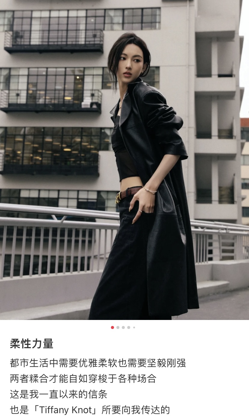 Tiffany & Co. 顶楼李智雅谷爱凌毛晓彤同款TFN蒂夫尼Tiffany