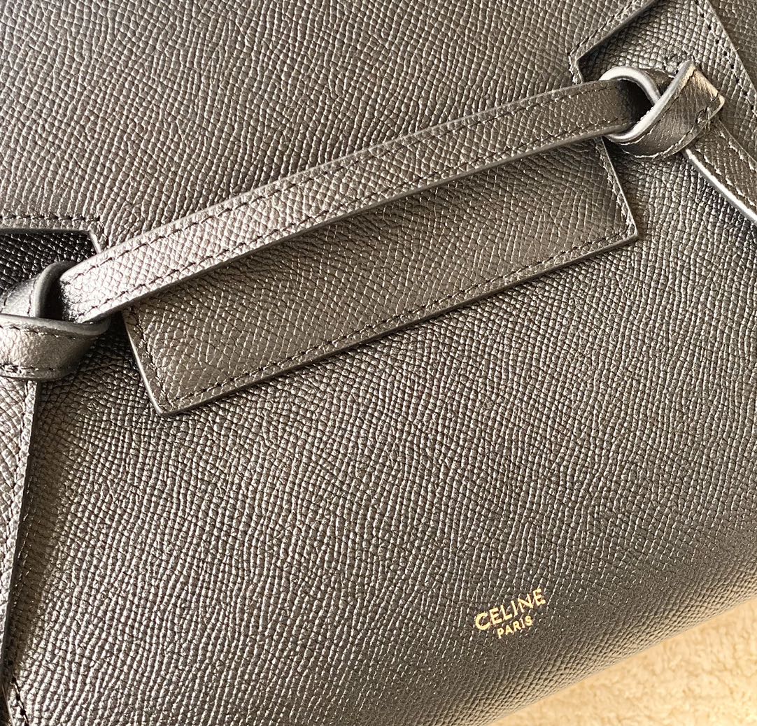 CELINE赛琳Belt 掌纹系列鲶鱼包189003