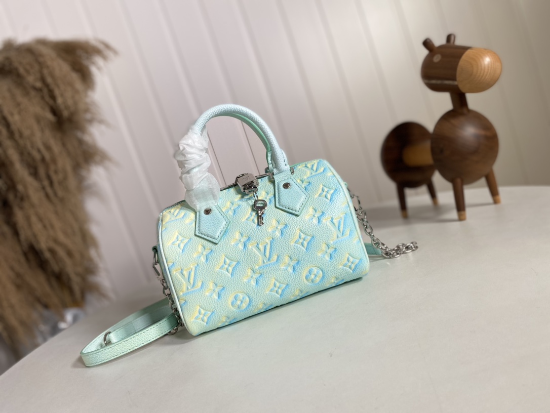 Louis Vuitton LV Speedy Bags Handbags Chains M46092