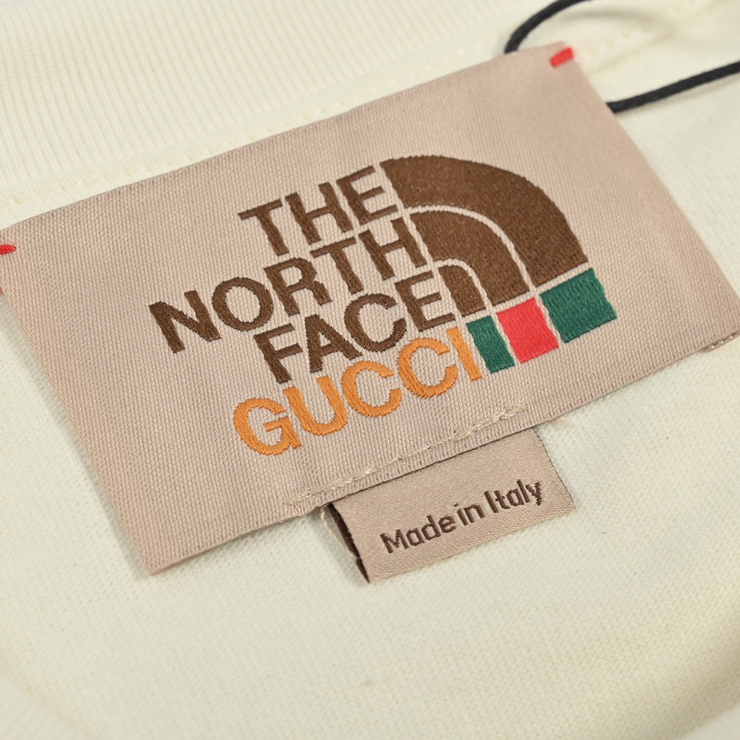 Gucci & The North Face 22ss 联名款印花短袖