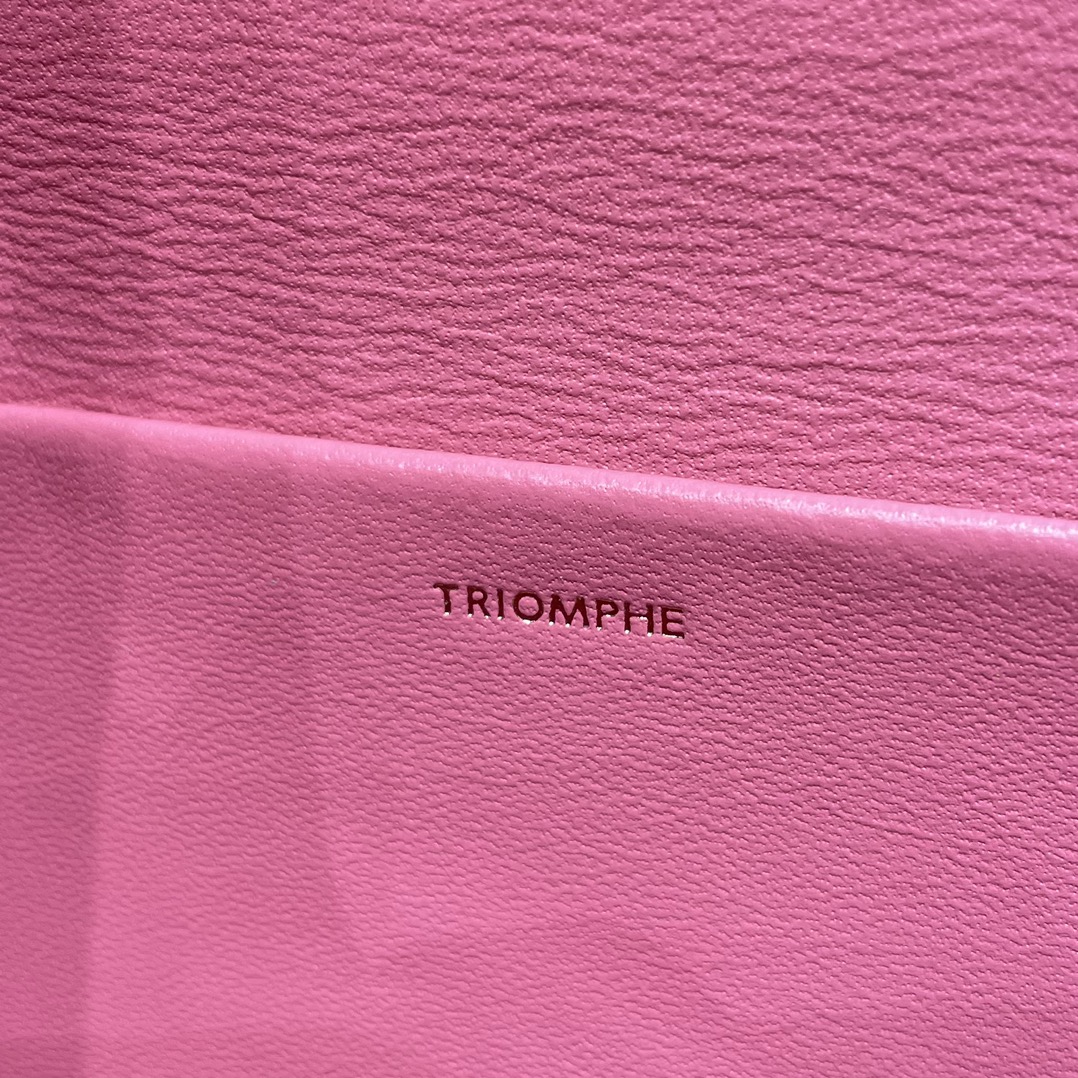 CELINE CHAIN SHOULDER 20.5CM BAG 197993粉红色