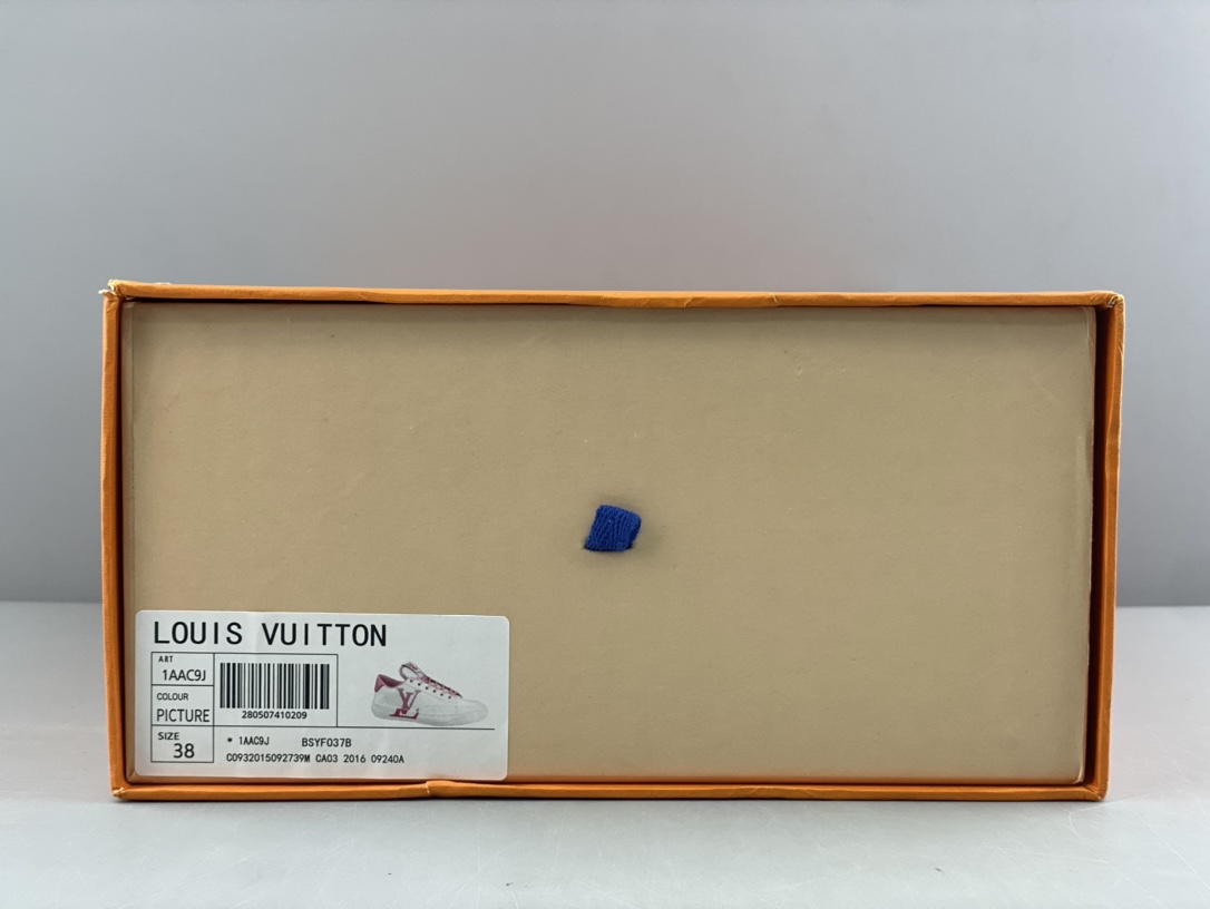 Louis Vuitton Luxury Footwear Collection 9