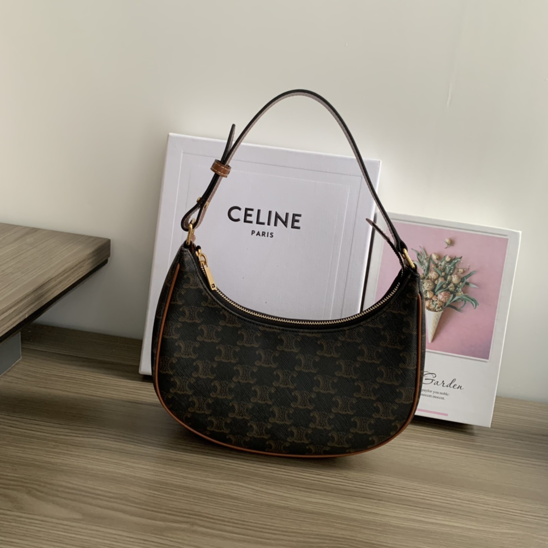 Celine Ava Bag in Triomphe Canvas – Retro Style Shoulder Bag 2 i1657875005 1189 0