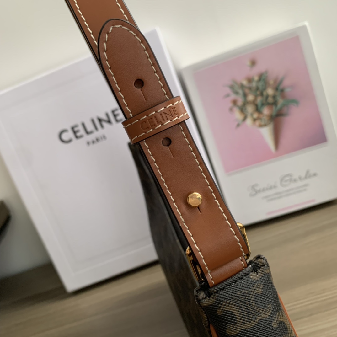 Celine Ava Bag in Triomphe Canvas – Retro Style Shoulder Bag 7 i1657875005 4766 5