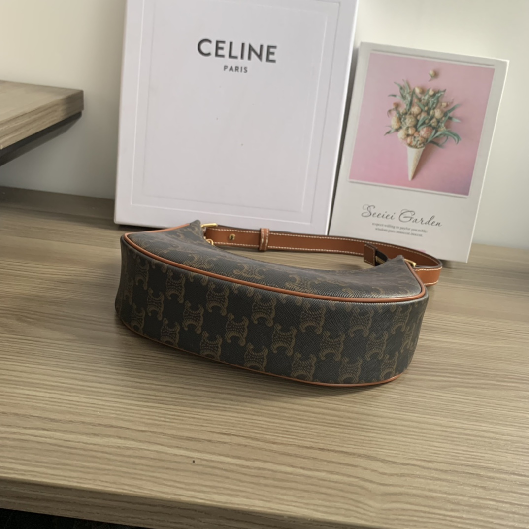Celine Ava Bag in Triomphe Canvas – Retro Style Shoulder Bag 5 i1657875005 5697 3