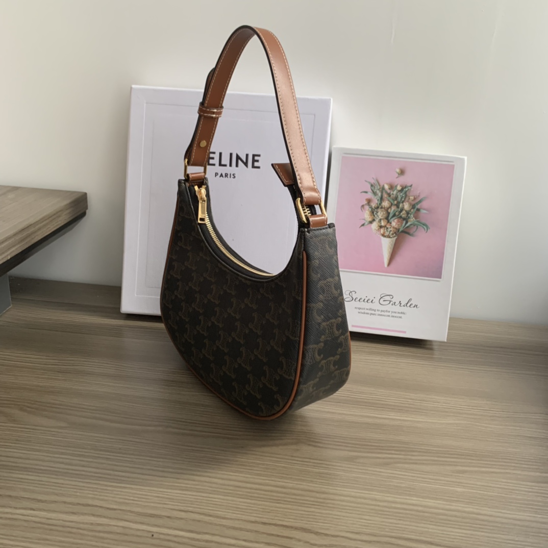 Celine Ava Bag in Triomphe Canvas – Retro Style Shoulder Bag 4 i1657875005 8407 2