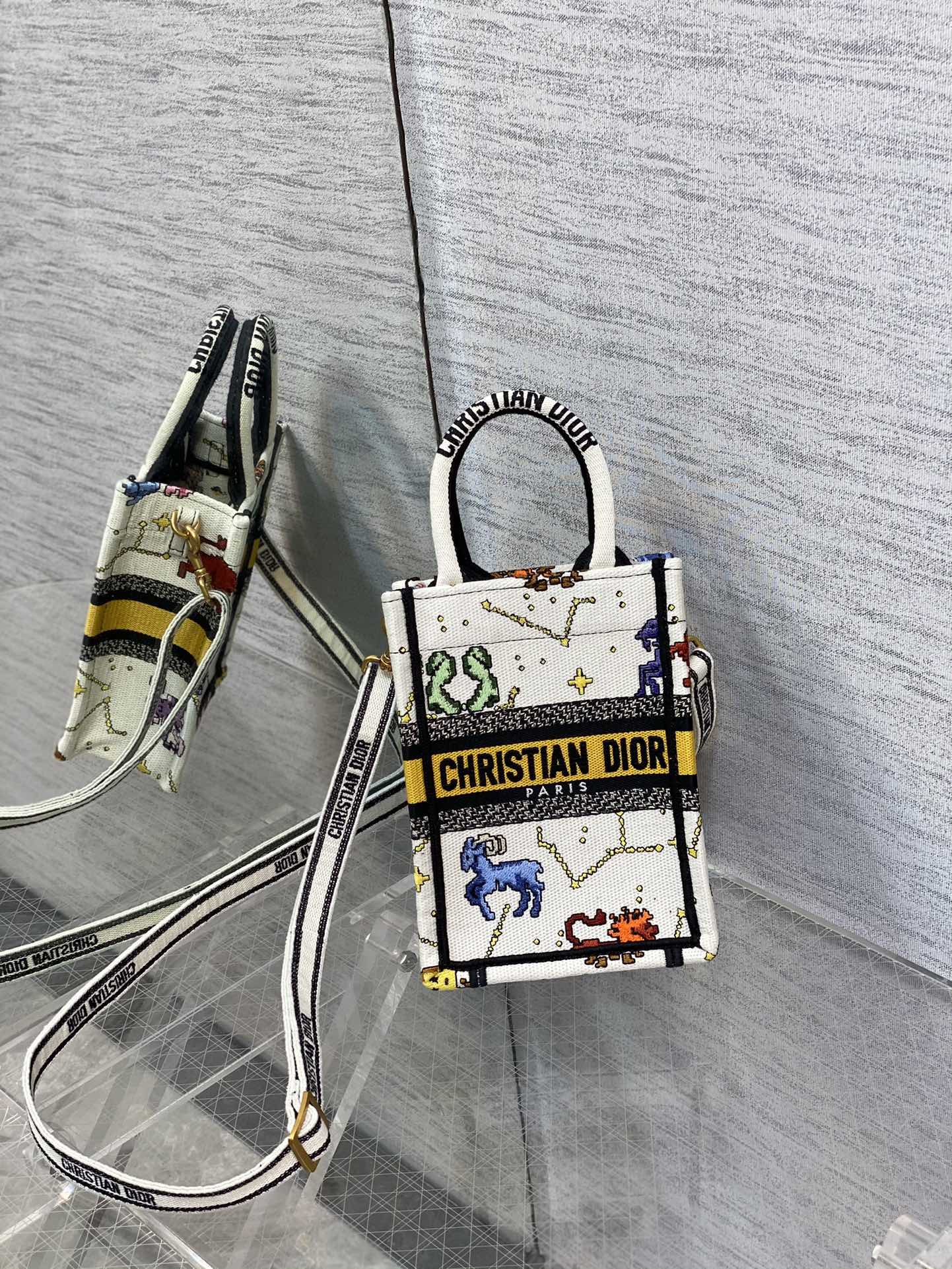 DIOR Vertical Mini Tote Bag Embroidered Letters Adjustable Shoulder Strap