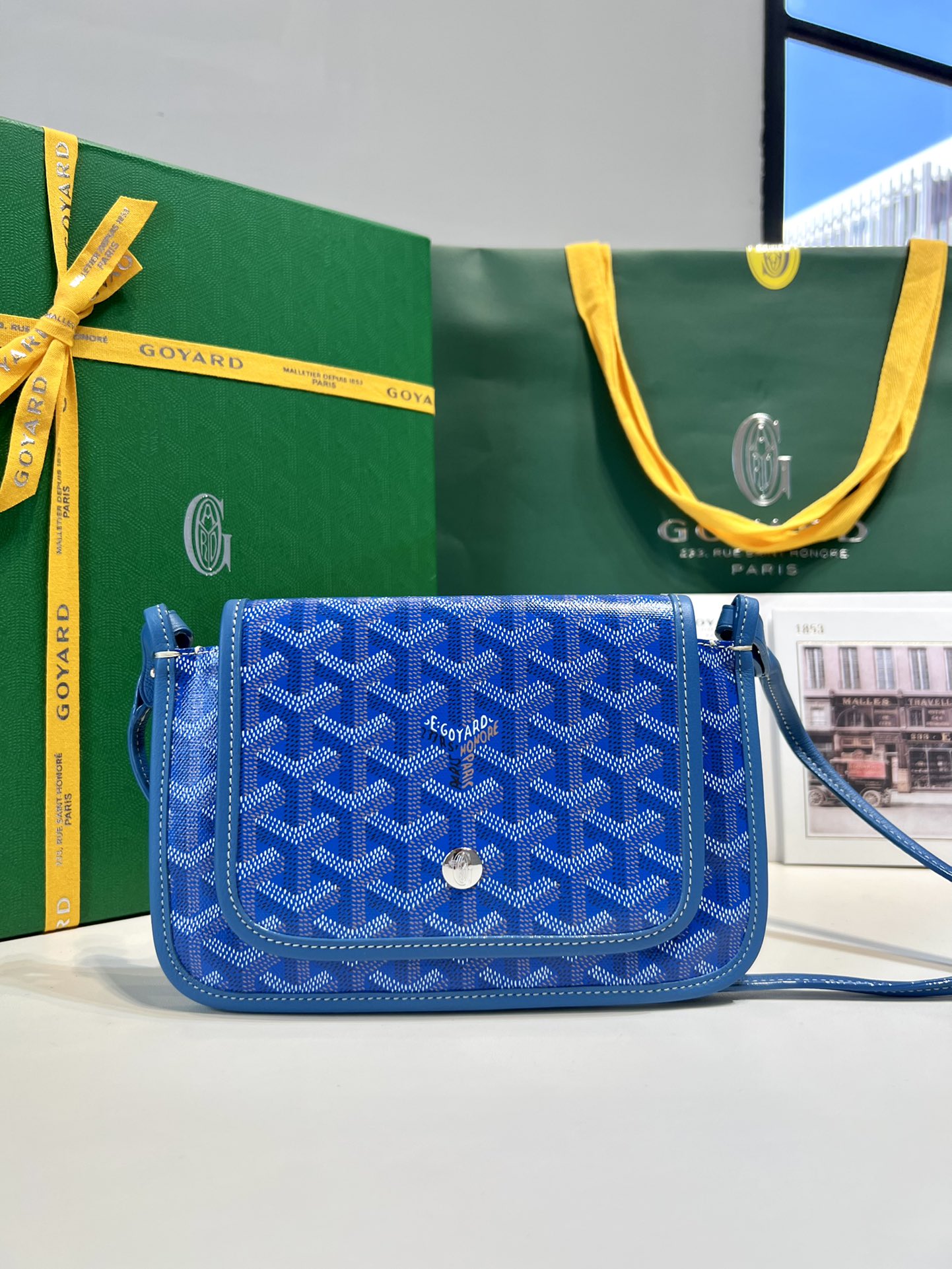고야드 가방 77802 Goyard Bag