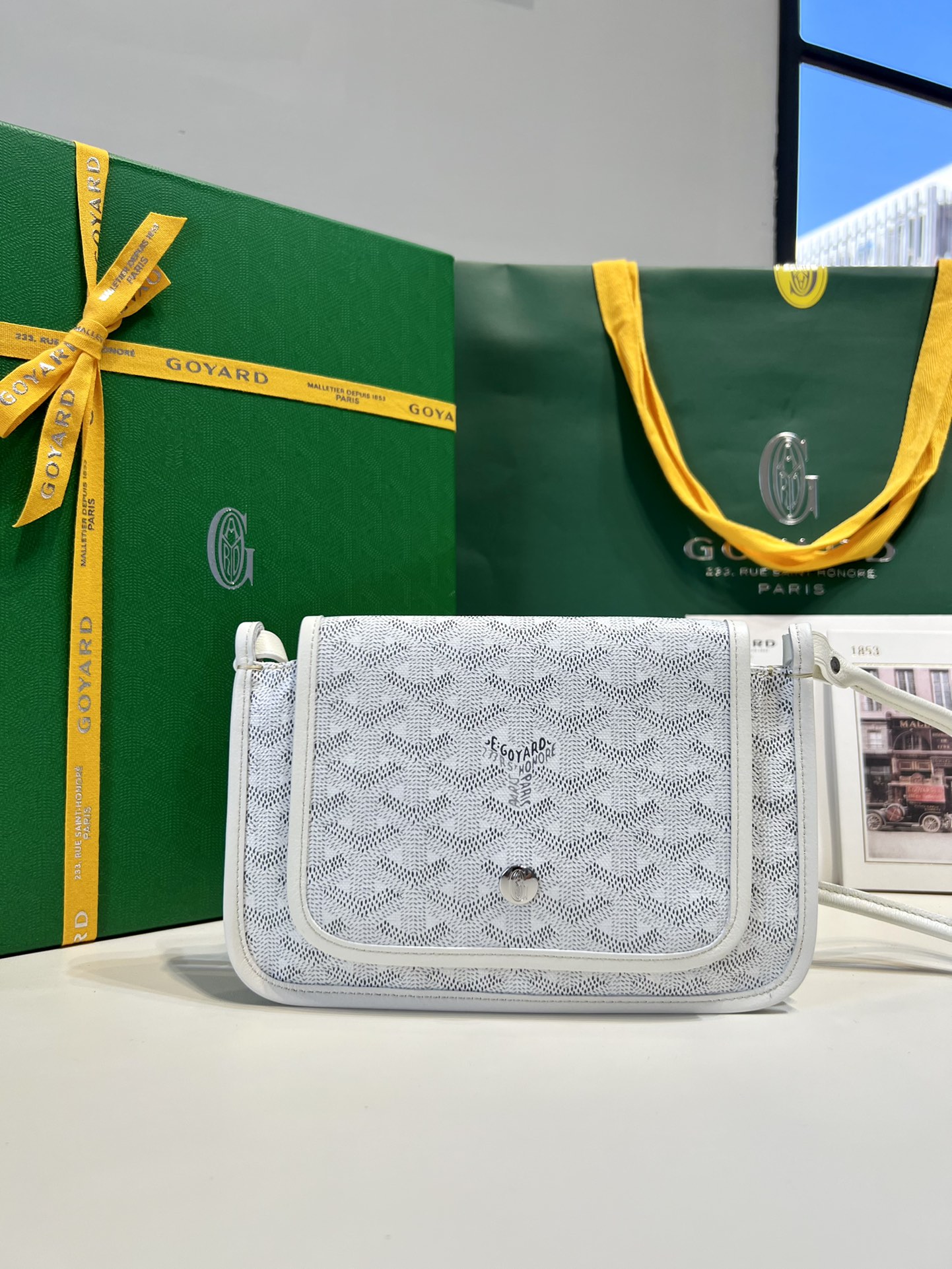 고야드 가방 77807 Goyard Bag