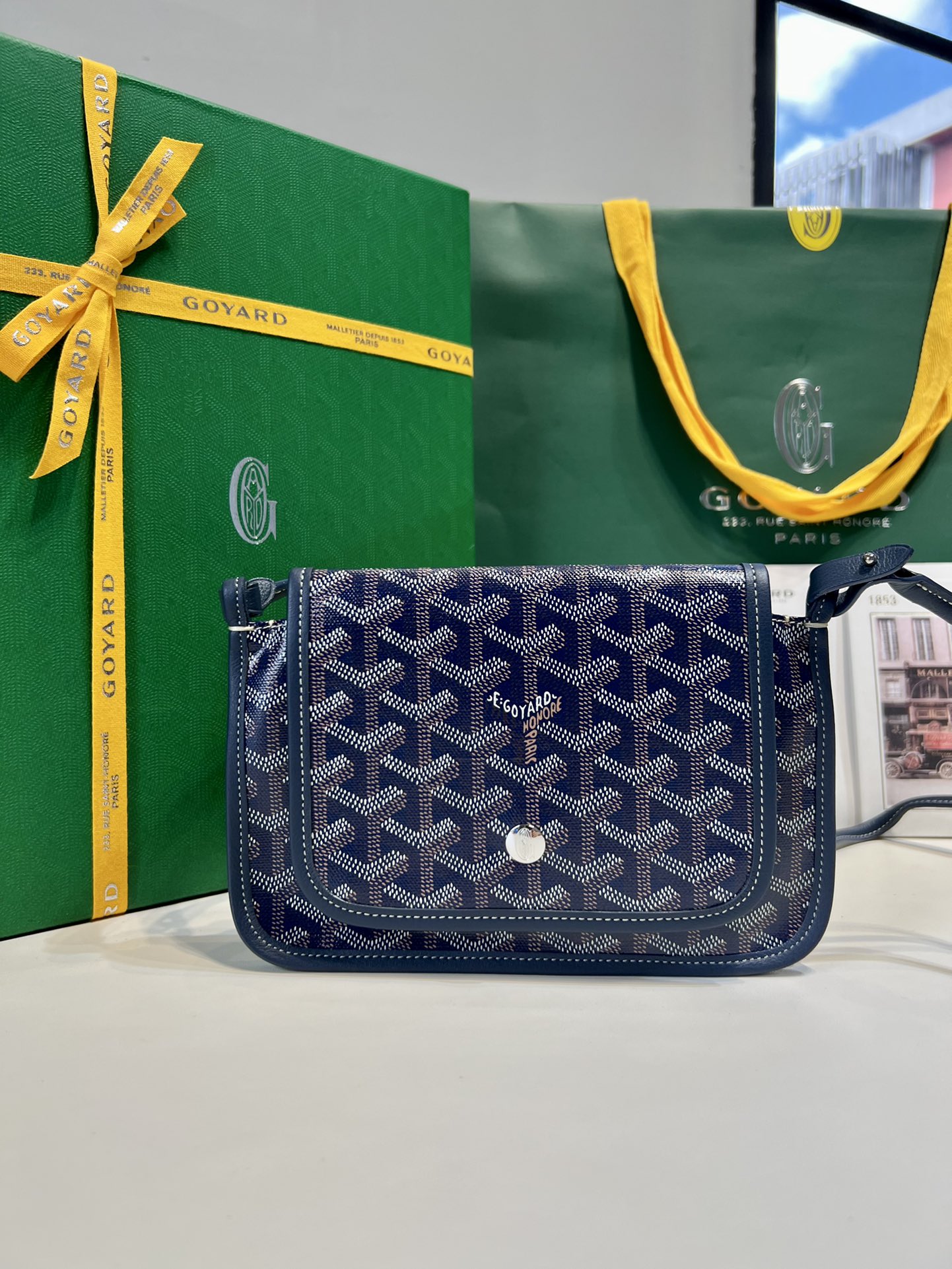 고야드 가방 77809 Goyard Bag