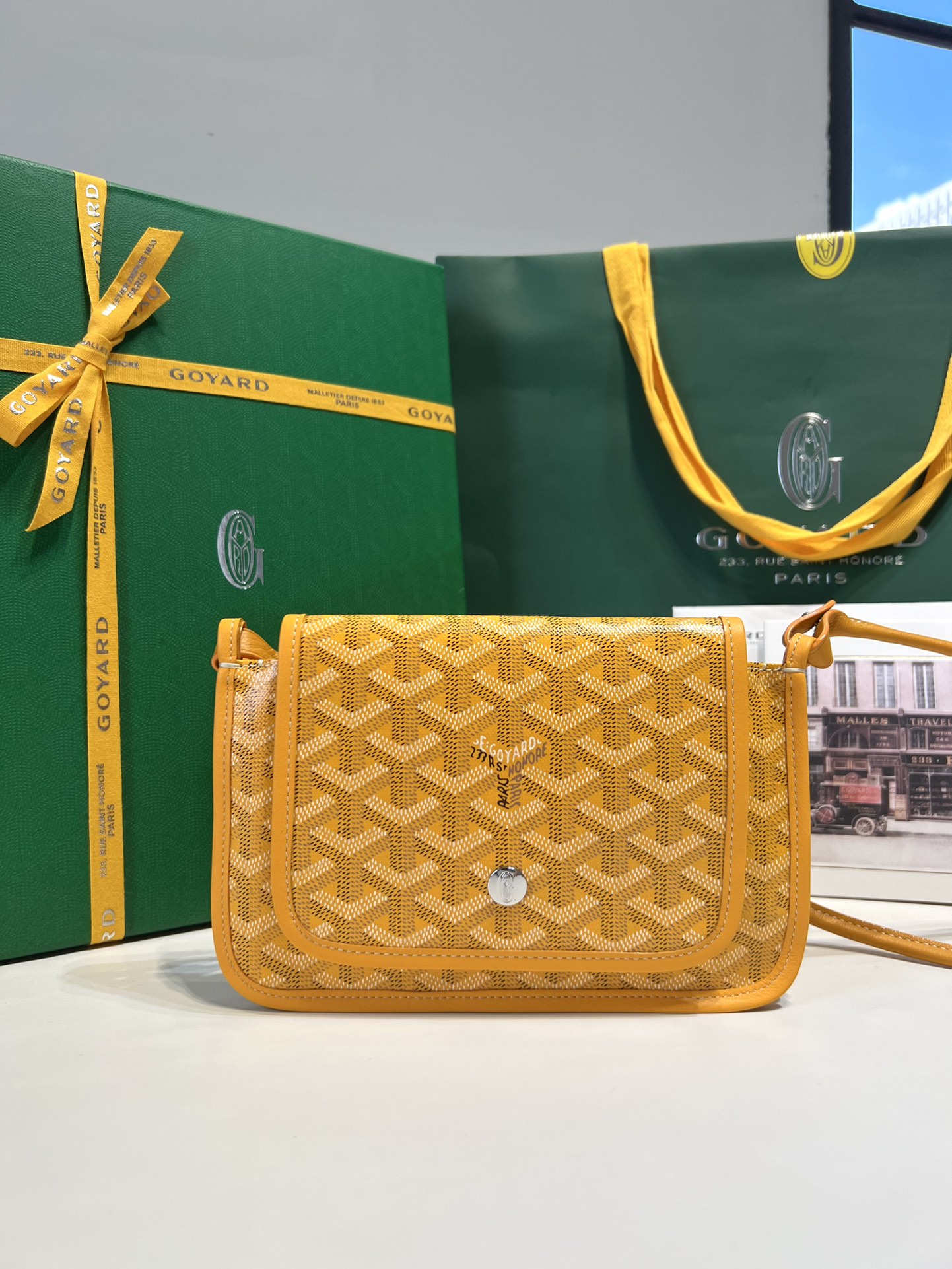 고야드 가방 77675 Goyard Bag