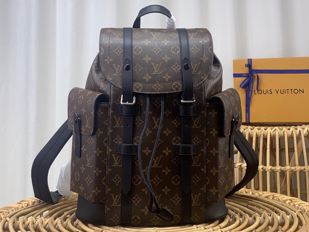 Louis Vuitton LV Christopher Bags Backpack N41379