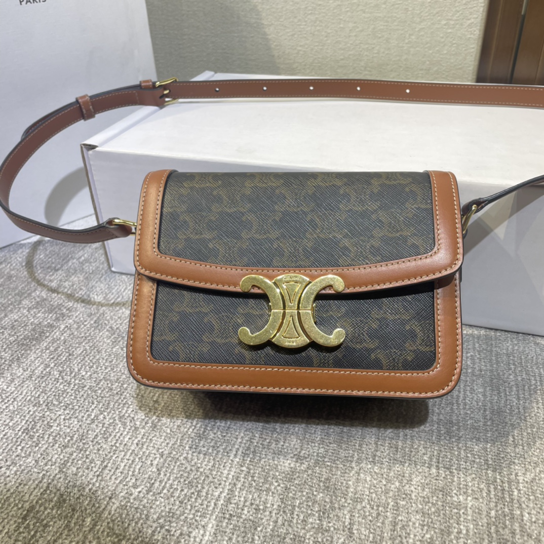 Celine Handbags Crossbody & Shoulder Bags Gold Calfskin Canvas Cowhide Triomphe MFT4365263