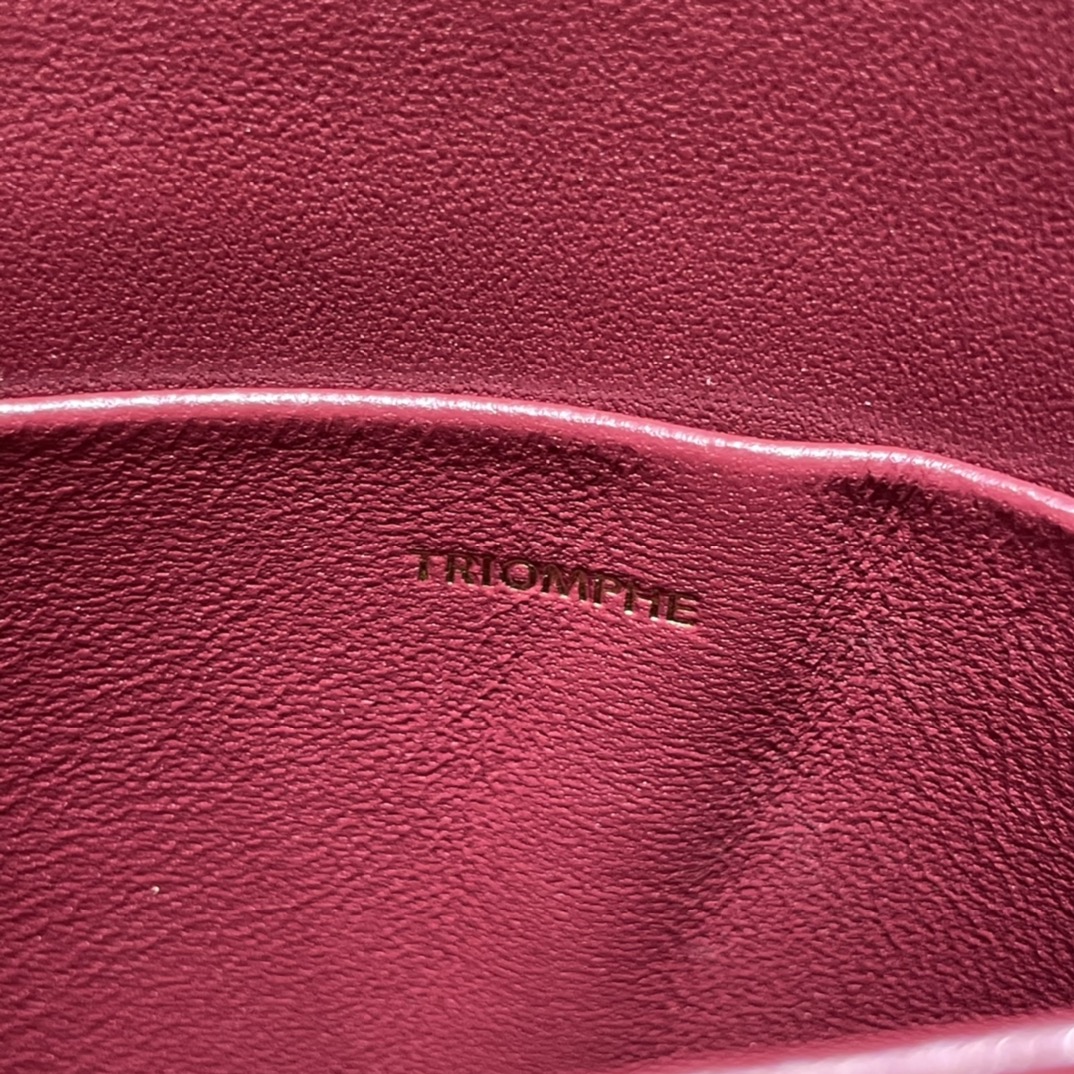 CELINE TEEN BESACE TRIOMPHE 18.5CM BAG 110413深红色