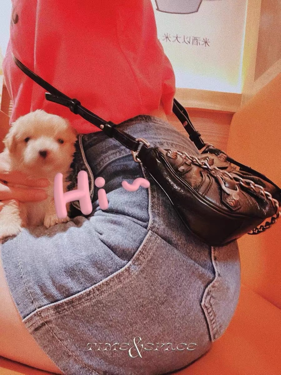 Balenciaga Le Cagole Mini 20CM 黑色平纹月牙包 695814