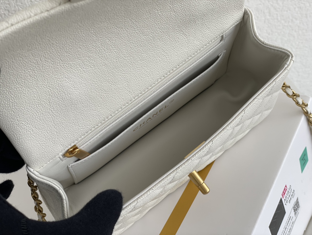 白金版️正品级包装如图全新到货️口盖包手提手腕带手柄的包包在近两年的频繁出现这一季的手柄口盖尺寸变小了精