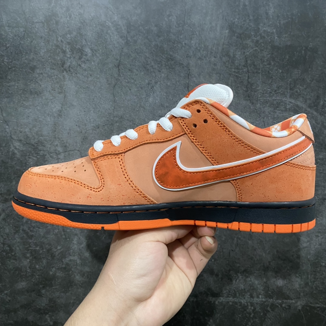 图片[2]-Top版本Dunk SB橙龙虾 波士顿知名鞋店重磅联名 Concepts x NK SB Dunk Low \”Orange Lobster\” 橙龙虾 FD8776-800 圈内最强 零售首选 独家原厂航空铝磨具打磨大底 鞋头坡度极致还原 原盒原配 圈内天花板工艺 原厂冲刀 超高清洁度 全鞋零毛边皮料切割 全套原楦原模倾力打造完美版型 采用原厂百宏鞋带以及原厂百宏织唛舌标 内标可供原厂几率过验 原厂中底布黄色点胶 原厂中底布拉帮走线遵循公司‼️ 尺码：36 36.5 37.5 38 38.5 39 40 40.5 41 42 42.5 43 44 45 46 47.5-选品中心
