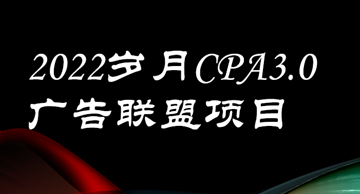 岁月CPA项目实操内训课3.0插图