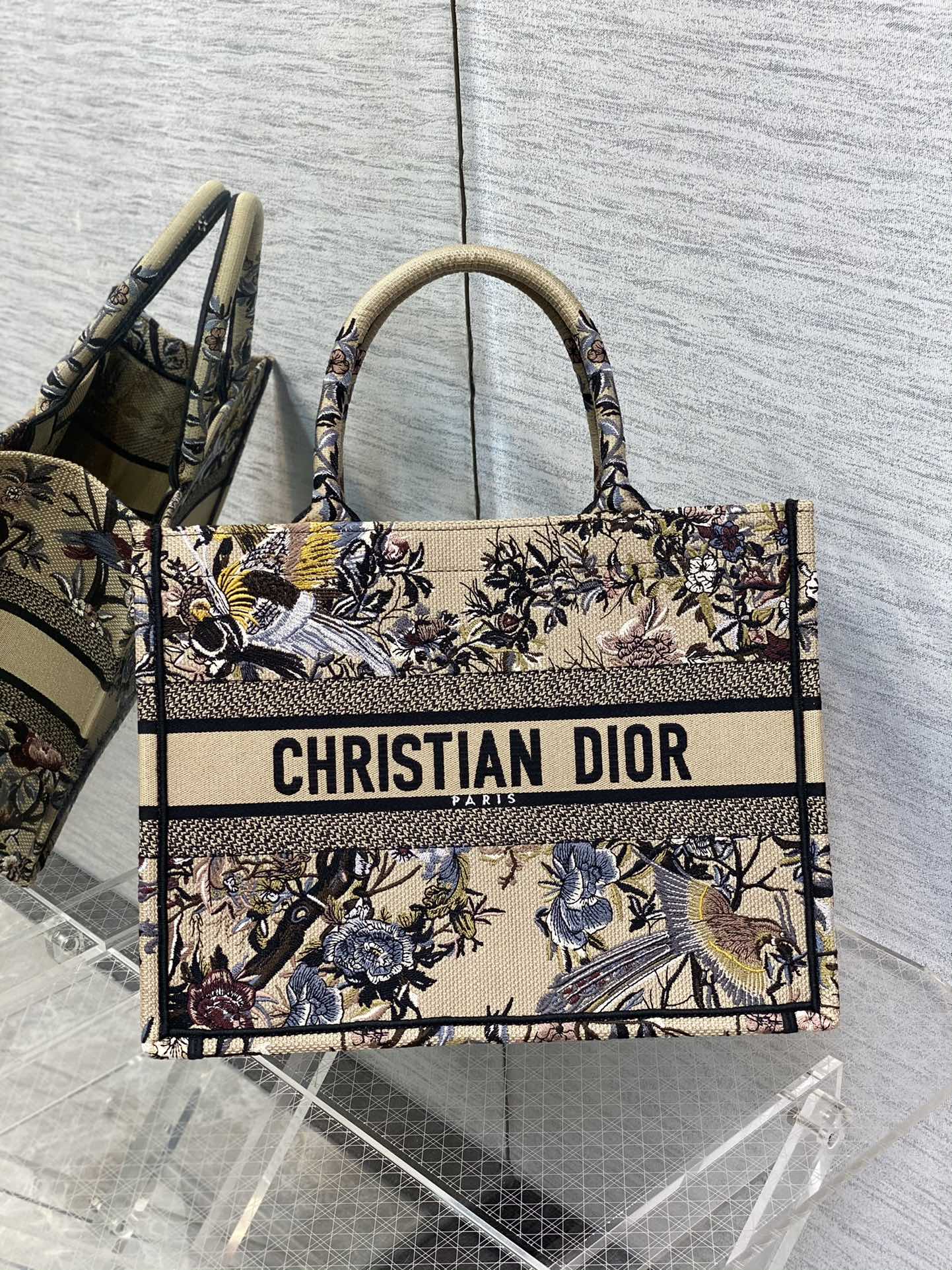 DIOR средний Tote двухцветная вышивка в форме сороки сумка-тоут