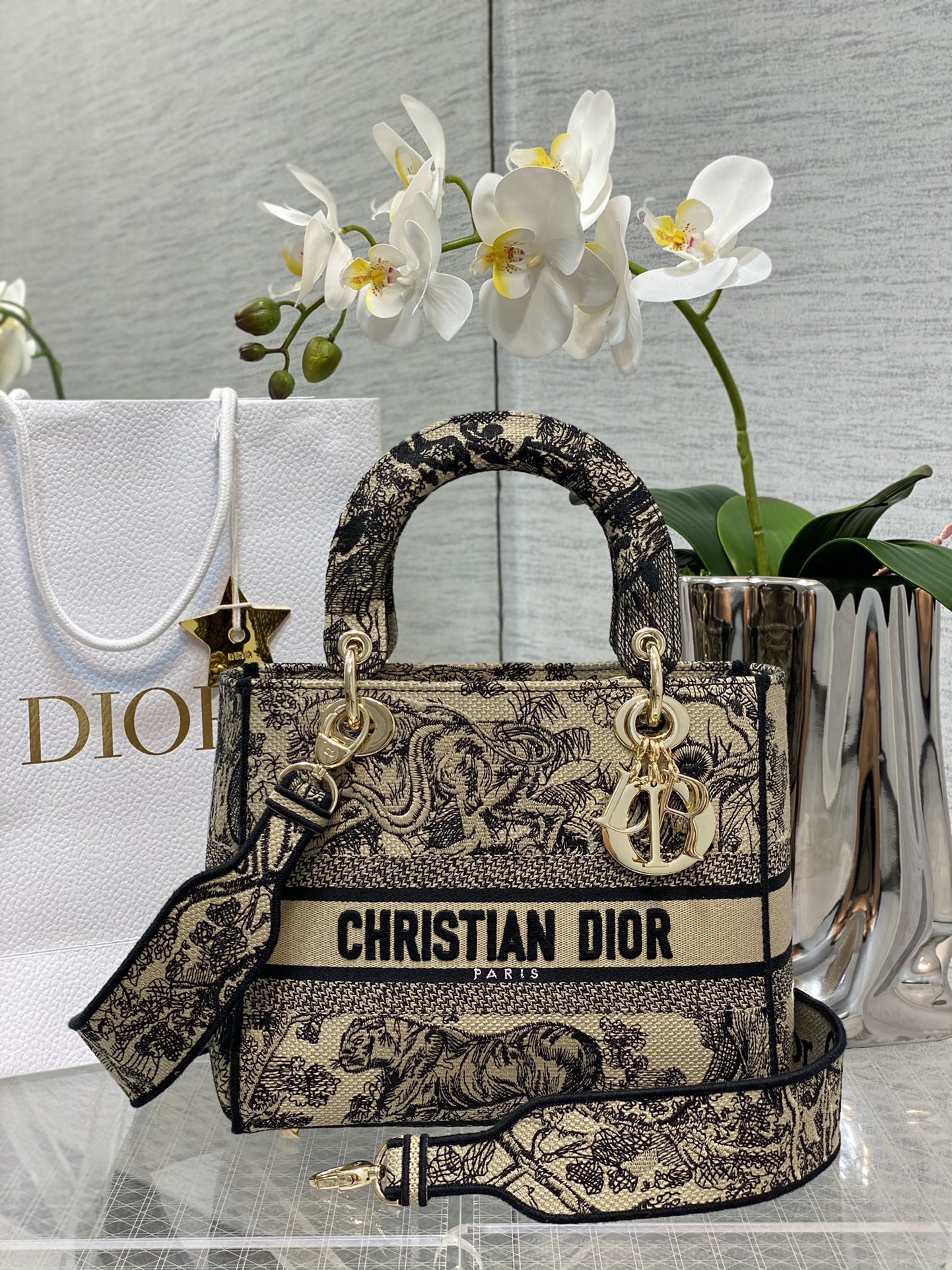 𝐋𝐚𝐝𝐲 cinco compartimentos, tigre color albaricoque