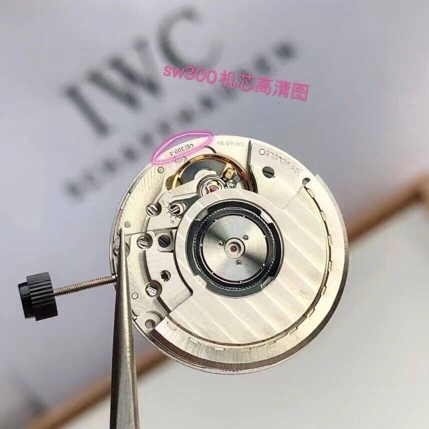 NO:393514,Original Swiss sw-mechanical movement, stuart weitzman19860909原装瑞士sw-机械机芯,,stuart weitzman,Watch