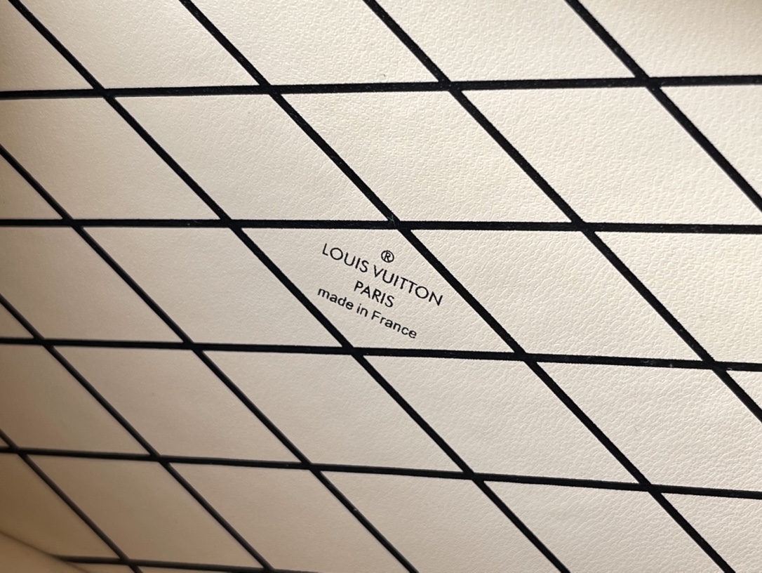 Top-Tier Quality: The M20764 Petite Malle handbag joins the Match - Bag 9