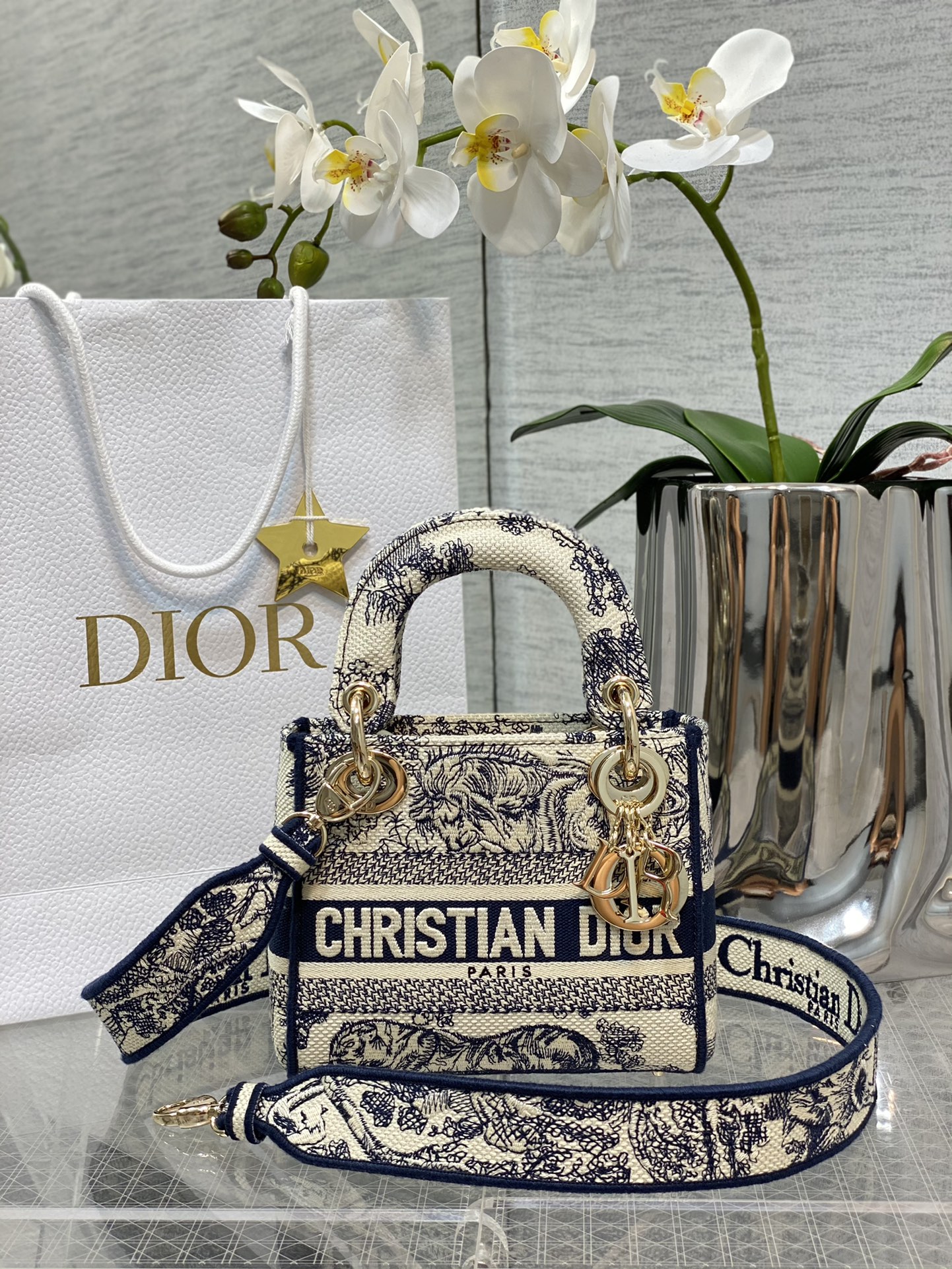 𝐋𝐚𝐝𝐲 tres compartimentos último tamaño tigre azul