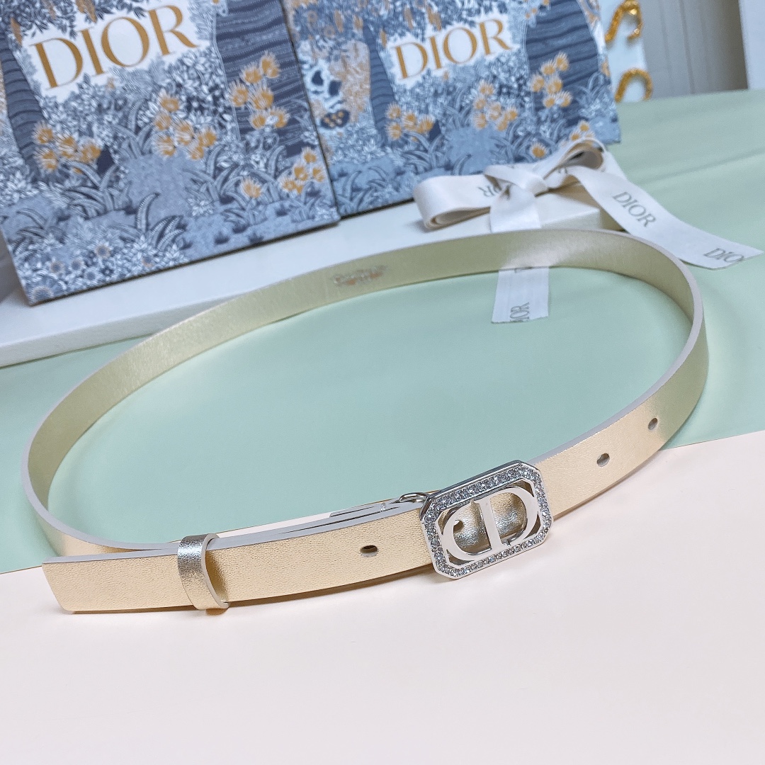 Dior Belts Gold Silver Calfskin Cowhide