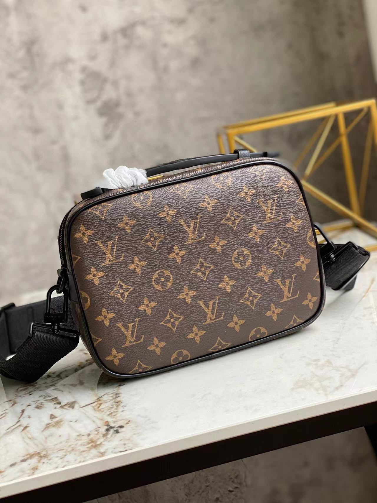Louis Vuitton Luxury Handbag Collection 6