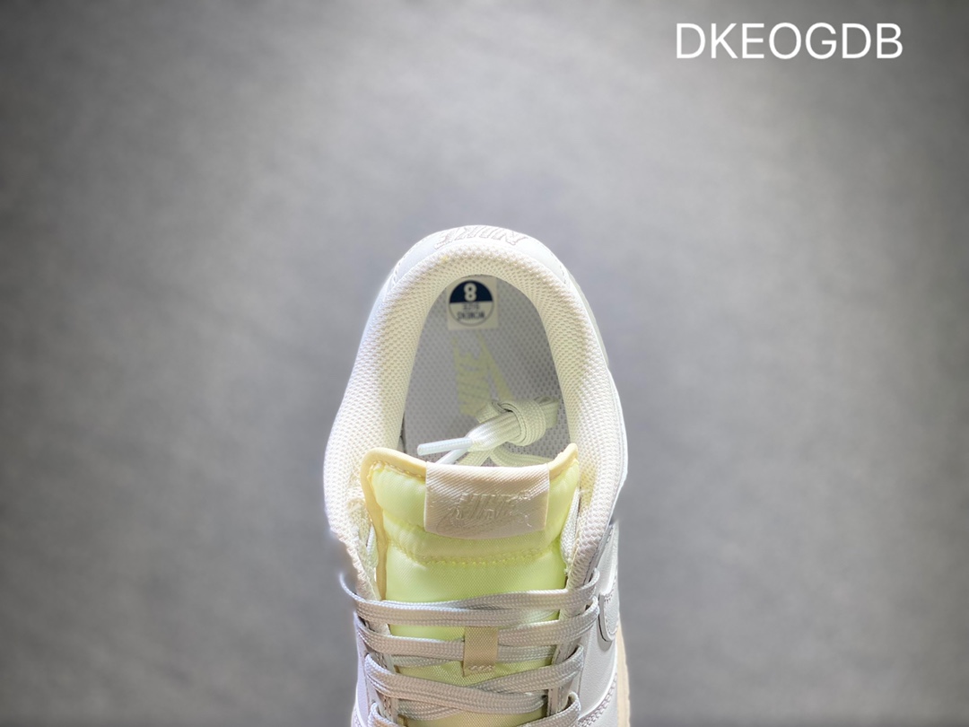 300 NIKE Dunk SB Low 低帮休闲板鞋DD1503-107