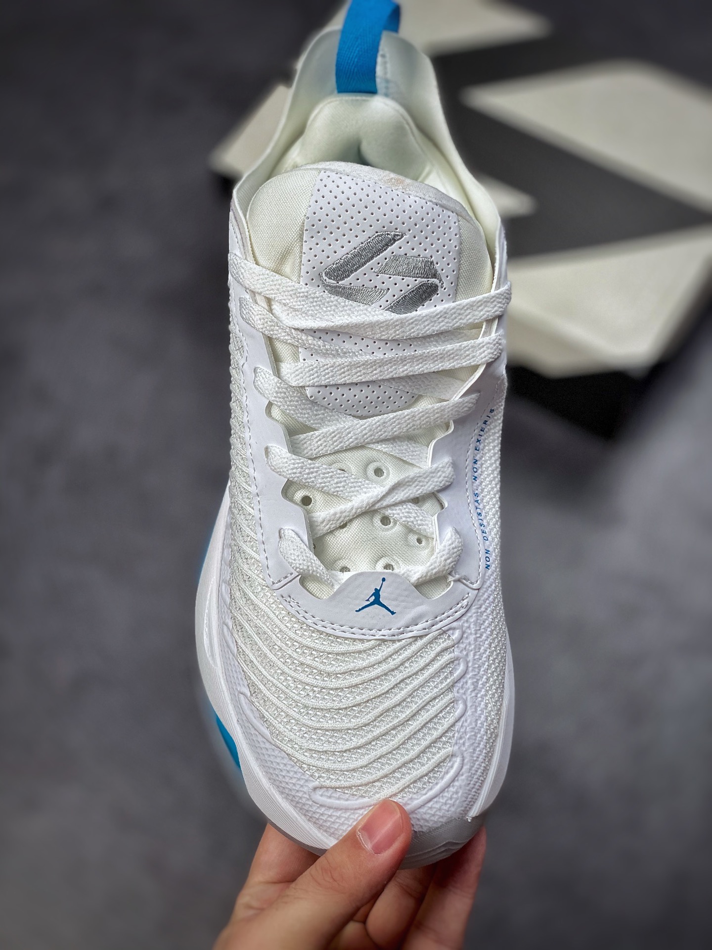 220 Jordan Luka 1 东契奇签名篮球鞋 DN1772-104