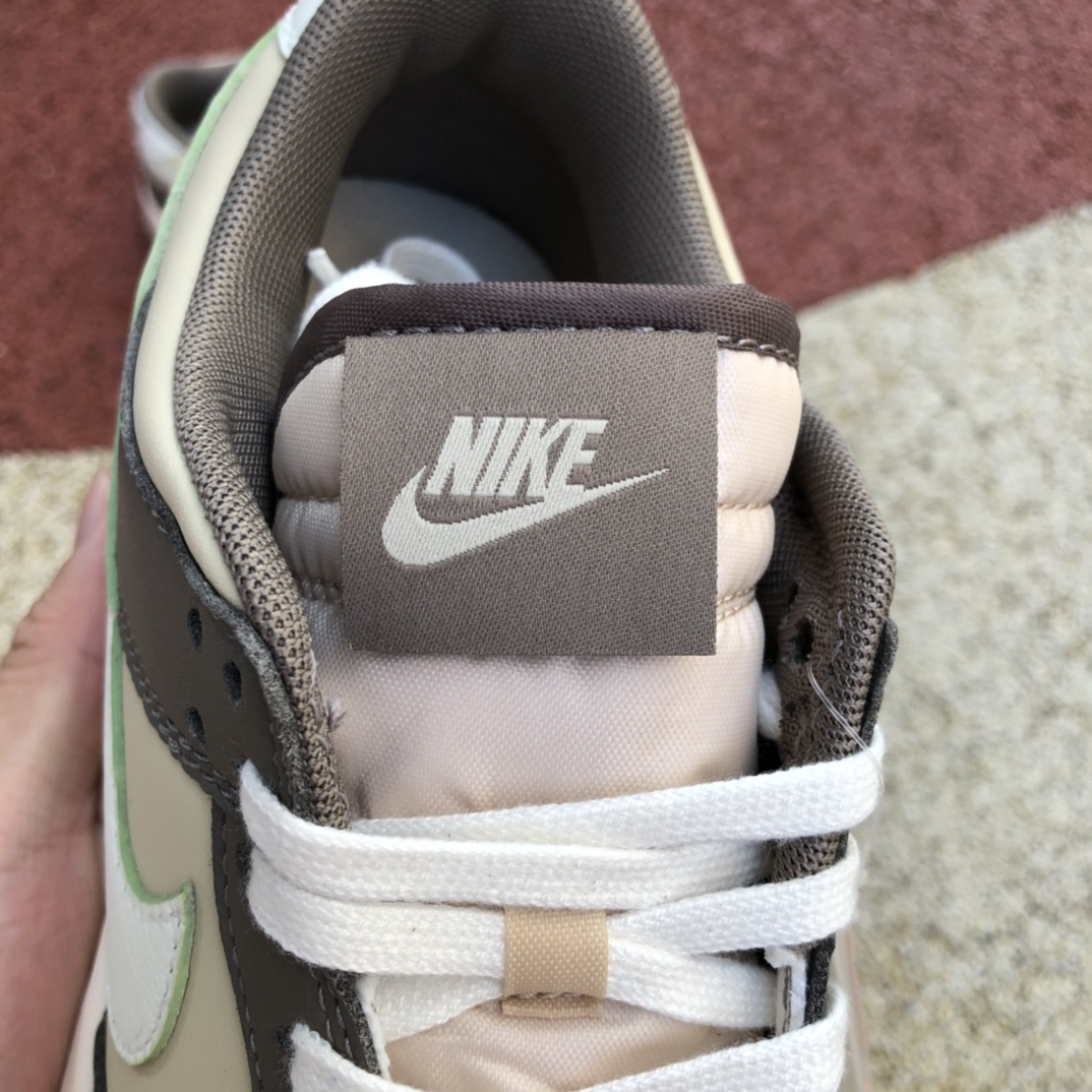 360  Nike Dunk Low Retro FB4960-210