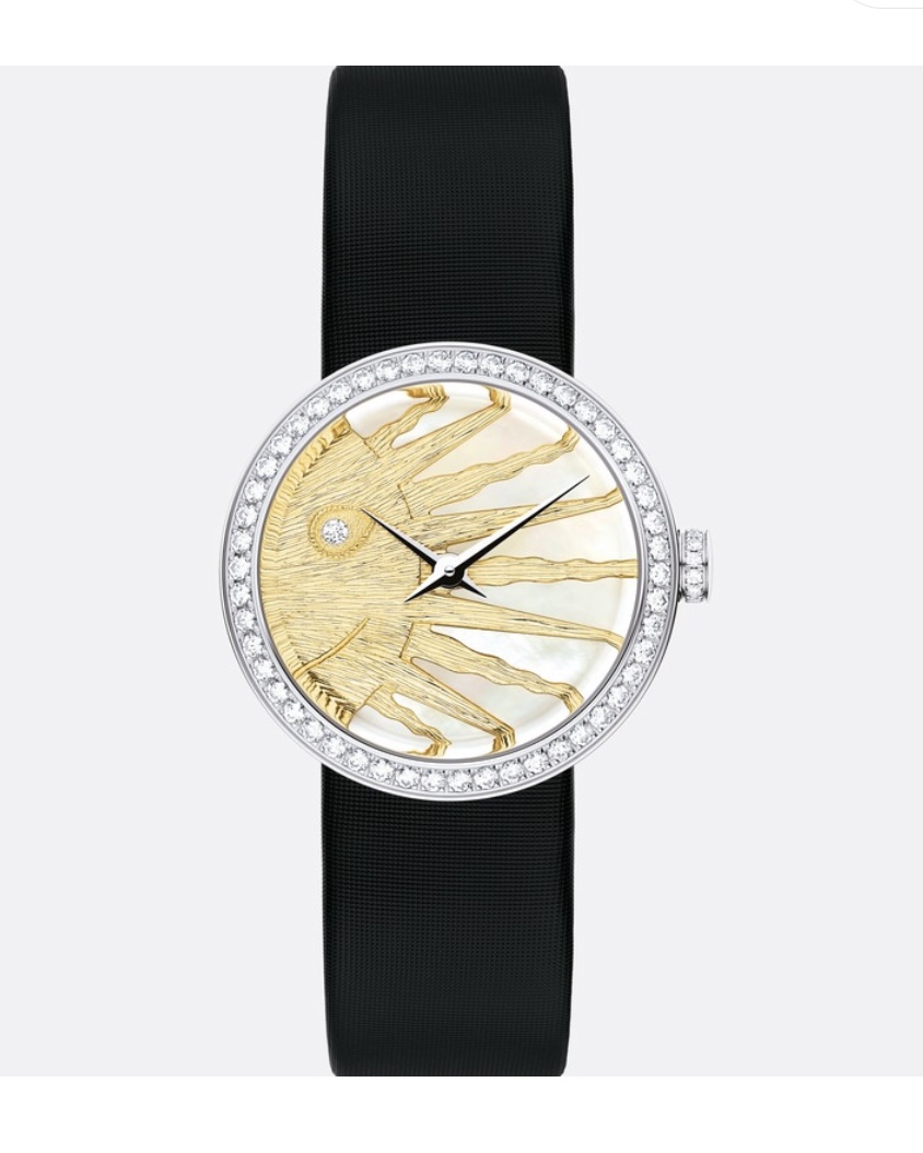 NO:394343,Dior official website display, dior19860909迪奥 官网展示,,dior,Watch