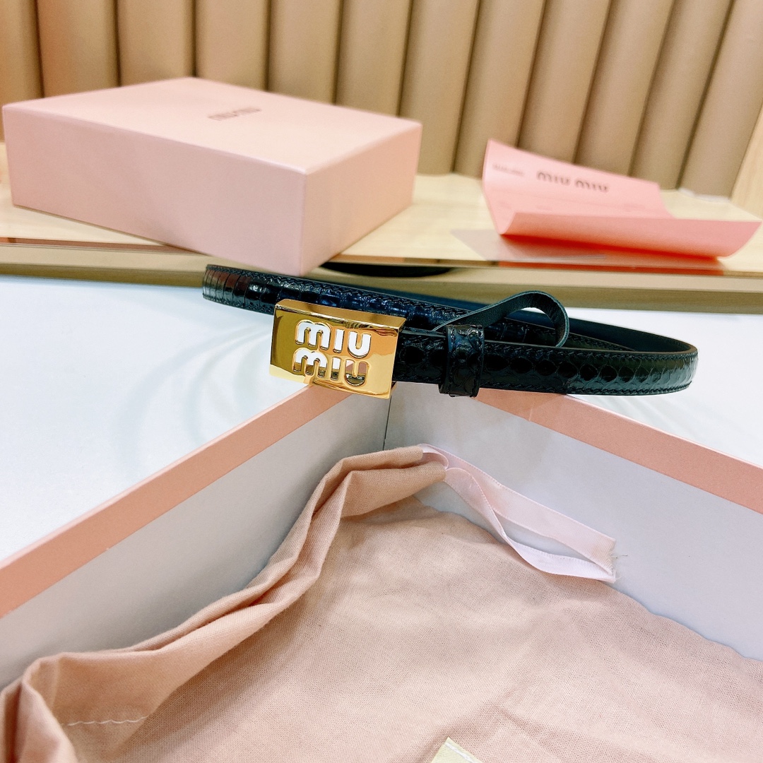 MiuMiu徽标跃于此款细腰带的金属