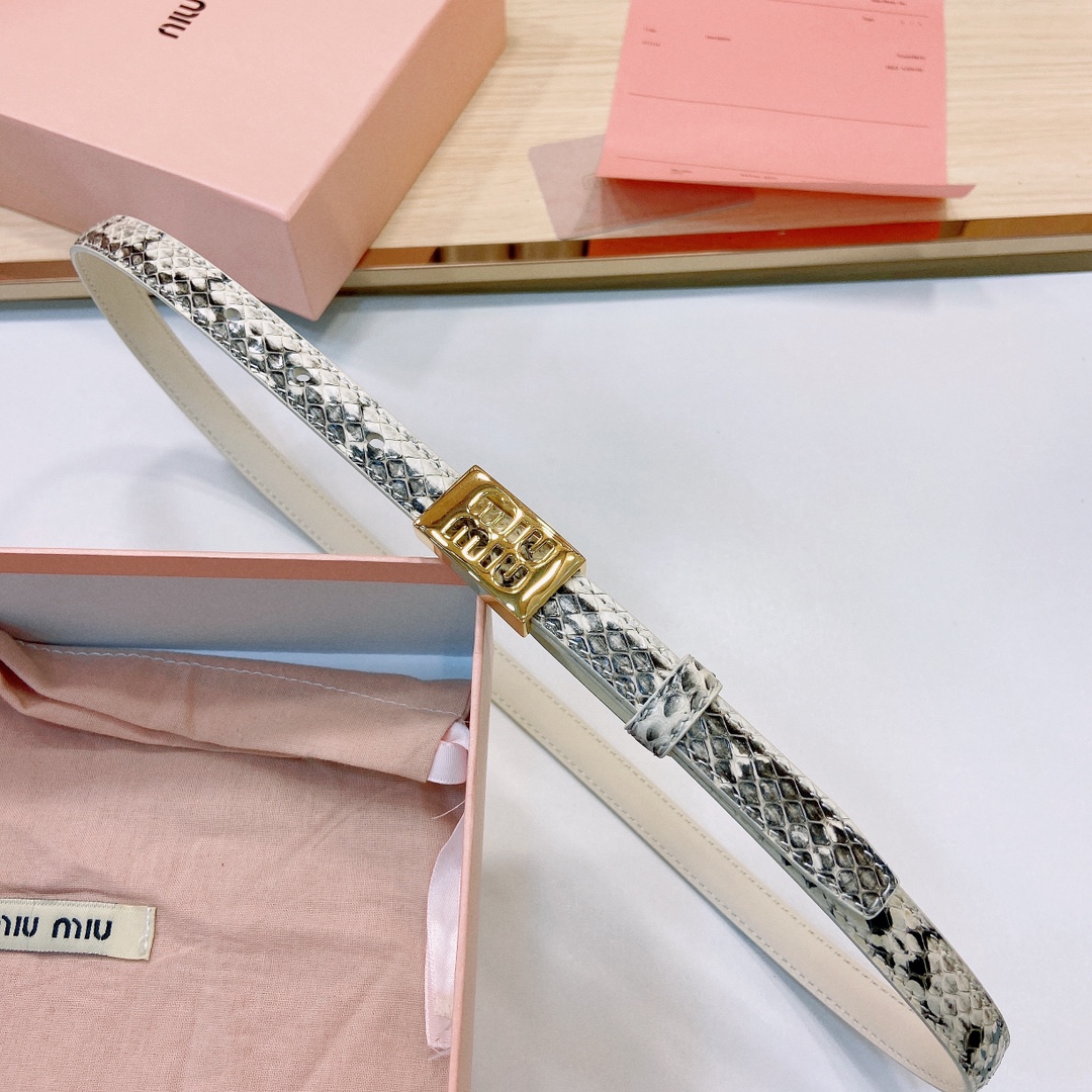 MiuMiu徽标跃于此款细腰带的金属