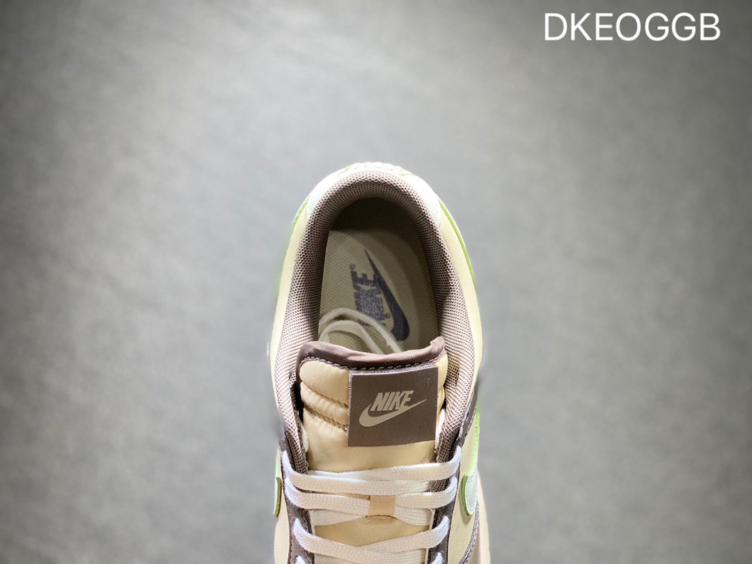 300 NIKE Dunk SB Low 低帮休闲板鞋  FB4960-210