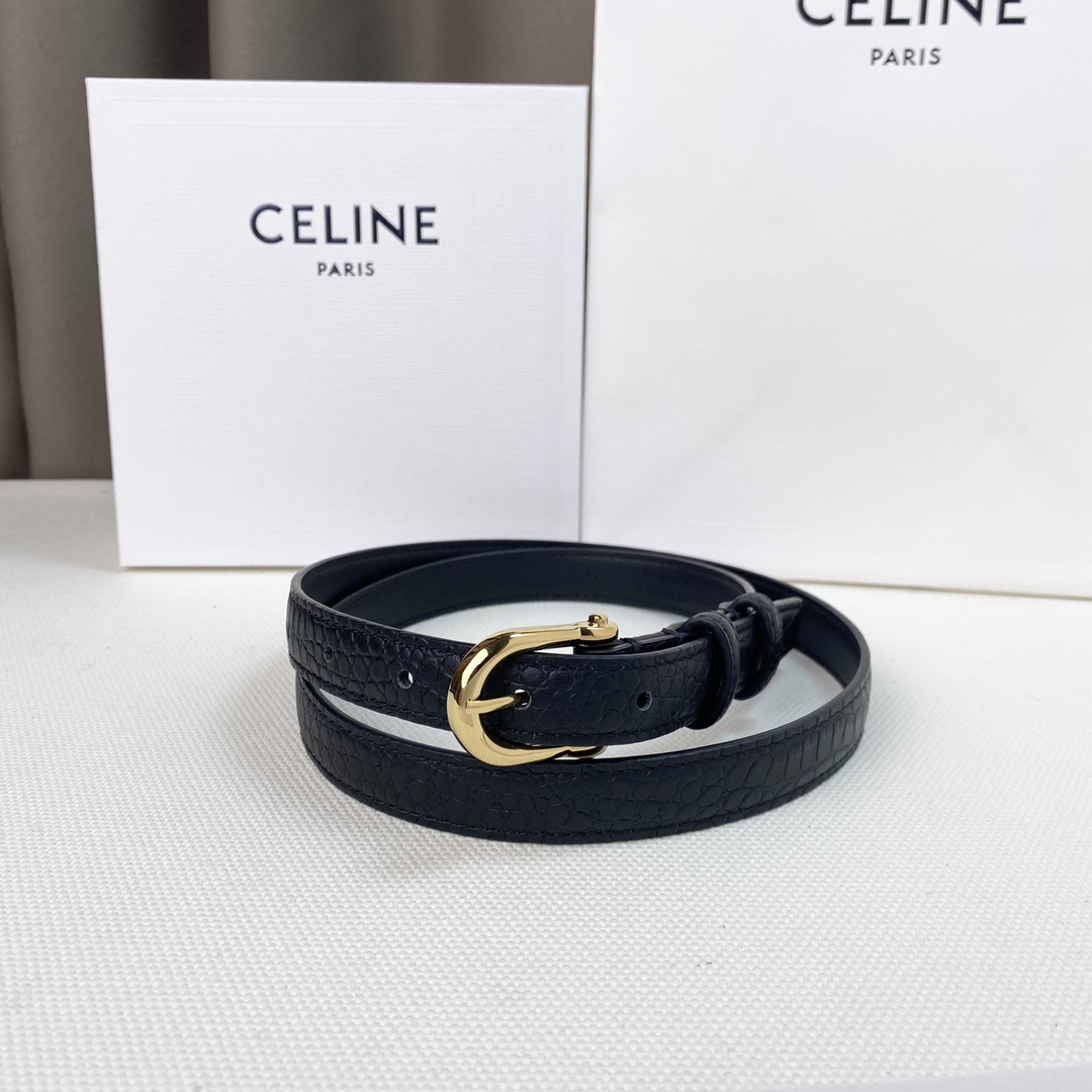配全套包装礼盒Celine新品立体浮