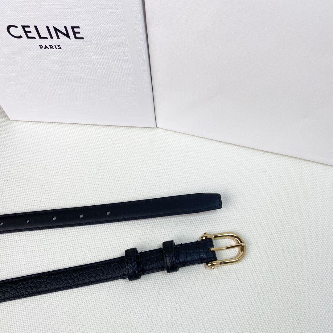 配全套包装礼盒Celine新品立体浮