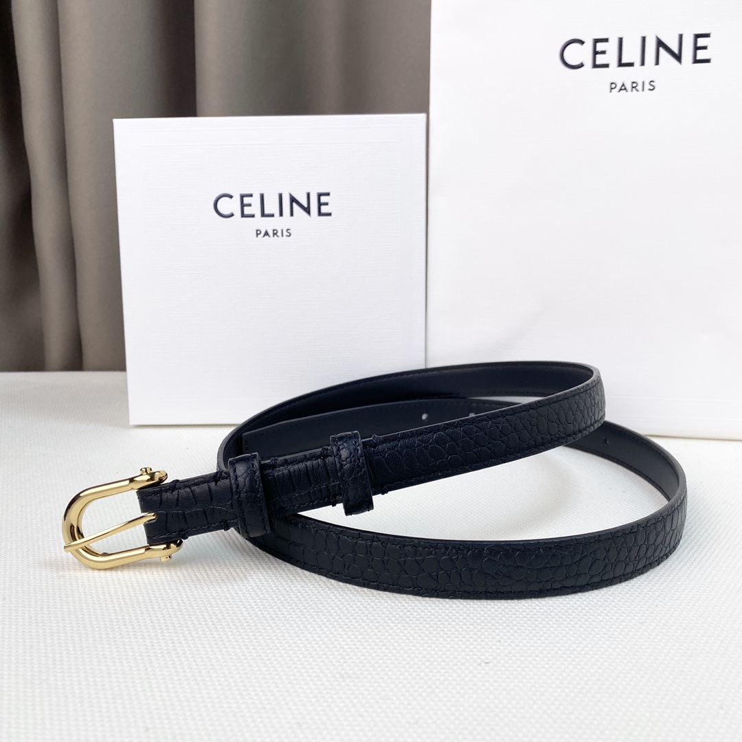 配全套包装礼盒Celine新品立体浮