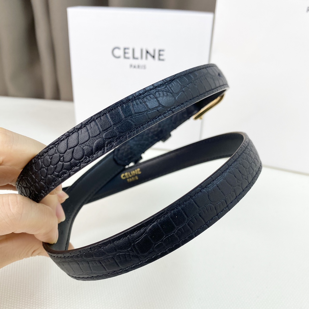 配全套包装礼盒Celine新品立体浮