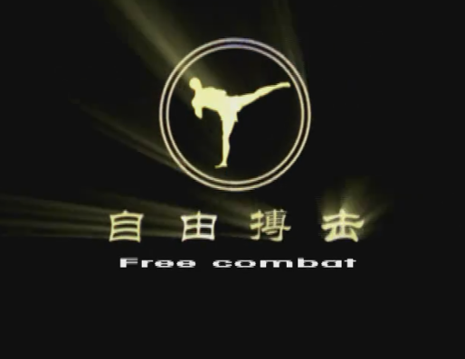 【瑜伽健身上新】【073 自由搏击散打技法（中文）】