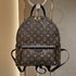 Louis Vuitton LV Palm Springs Bags Backpack Monogram Canvas M4156030