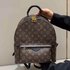 Louis Vuitton LV Palm Springs Bags Backpack M4156030