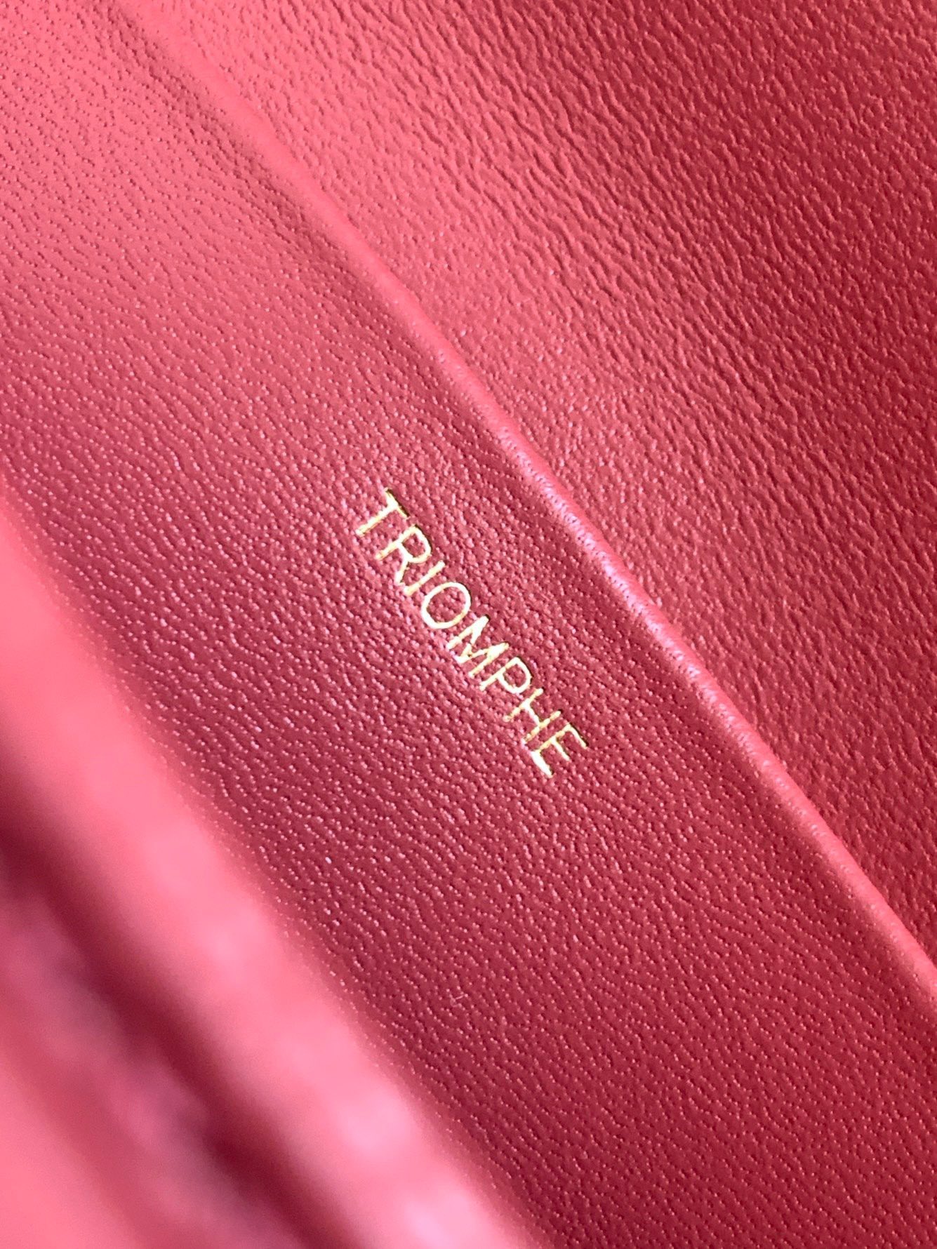 CELINE赛琳2022新款浮雕凯旋门肩背包199223