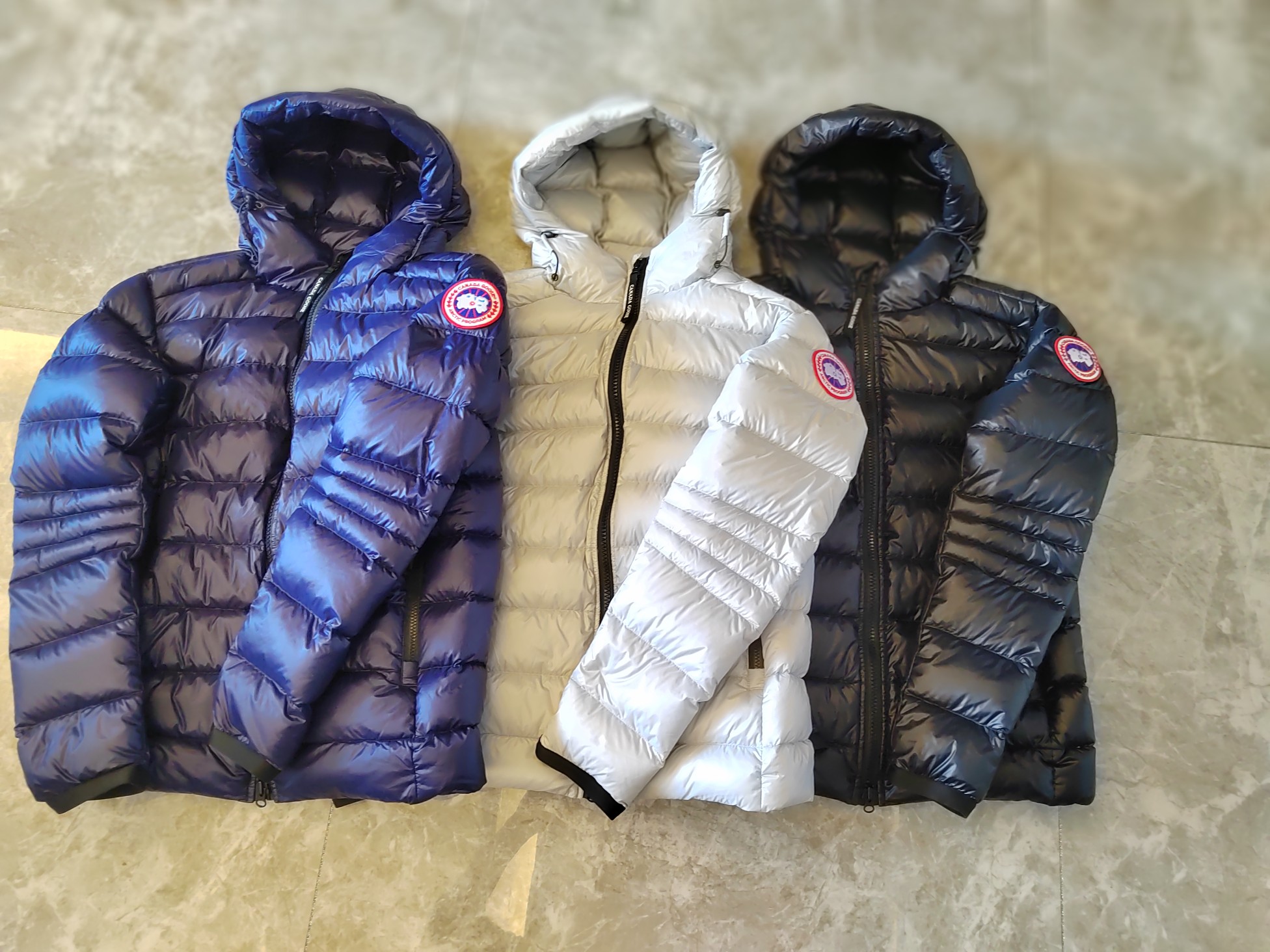 P1610 HIGH-END QUALITY FEMALE SUIT WITH DUST BAG, GOOSE CONVERGENCE: BLACK, SILVER, BLUE - 图片 2