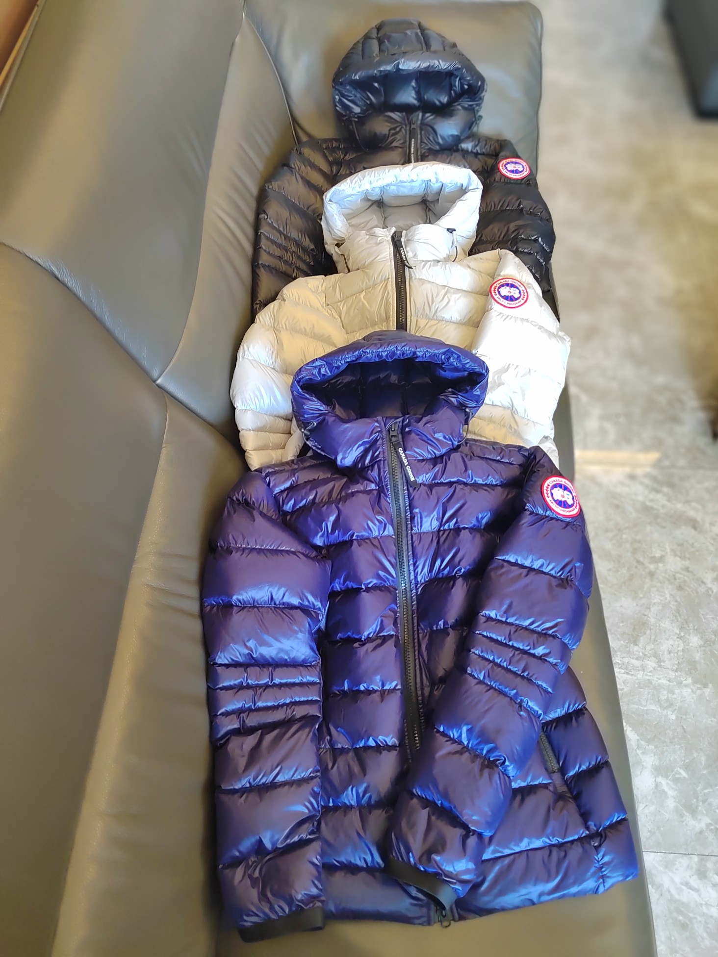 P1610 HIGH-END QUALITY FEMALE SUIT WITH DUST BAG, GOOSE CONVERGENCE: BLACK, SILVER, BLUE - 图片 4