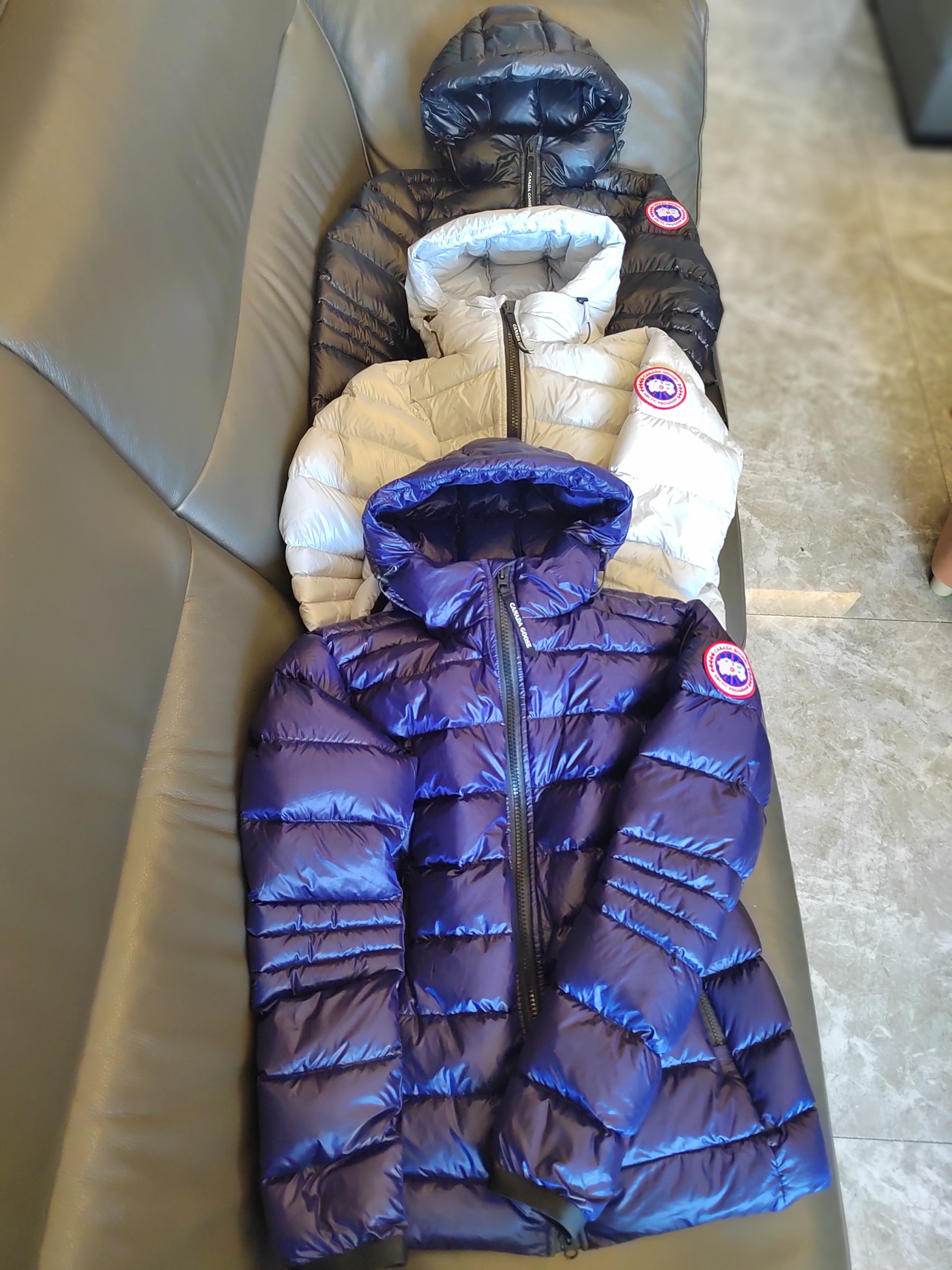 P1610 HIGH-END QUALITY FEMALE SUIT WITH DUST BAG, GOOSE CONVERGENCE: BLACK, SILVER, BLUE - 图片 5