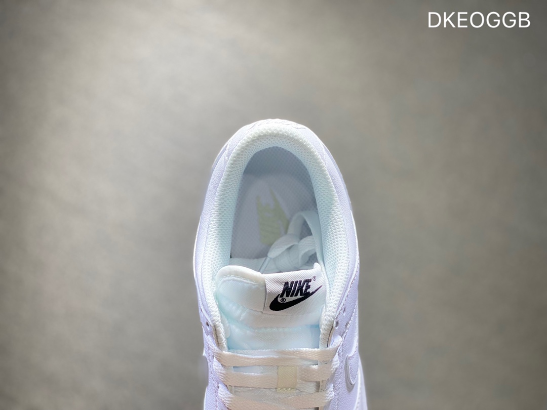 300 NIKE Dunk SB Low 低帮休闲板鞋DD1503-109