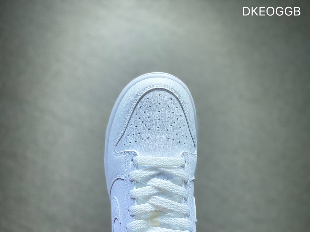 300 NIKE Dunk SB Low 低帮休闲板鞋DD1503-109