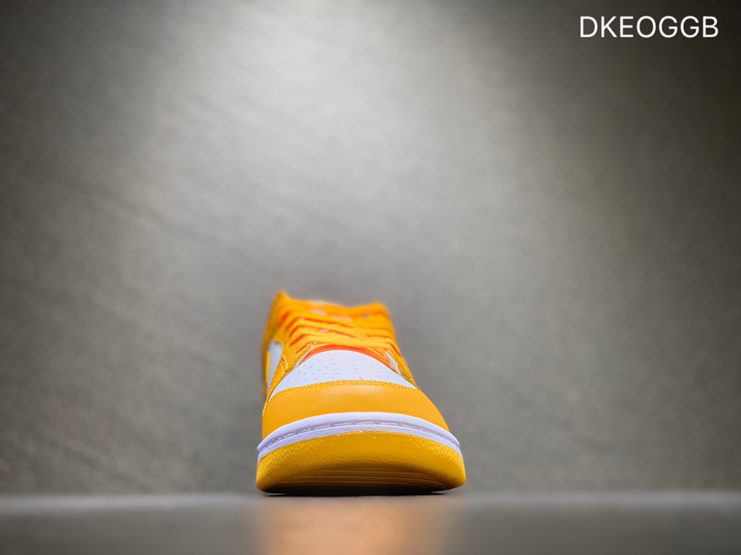 300 NIKE Dunk SB Low 低帮休闲板鞋  DD1503-800